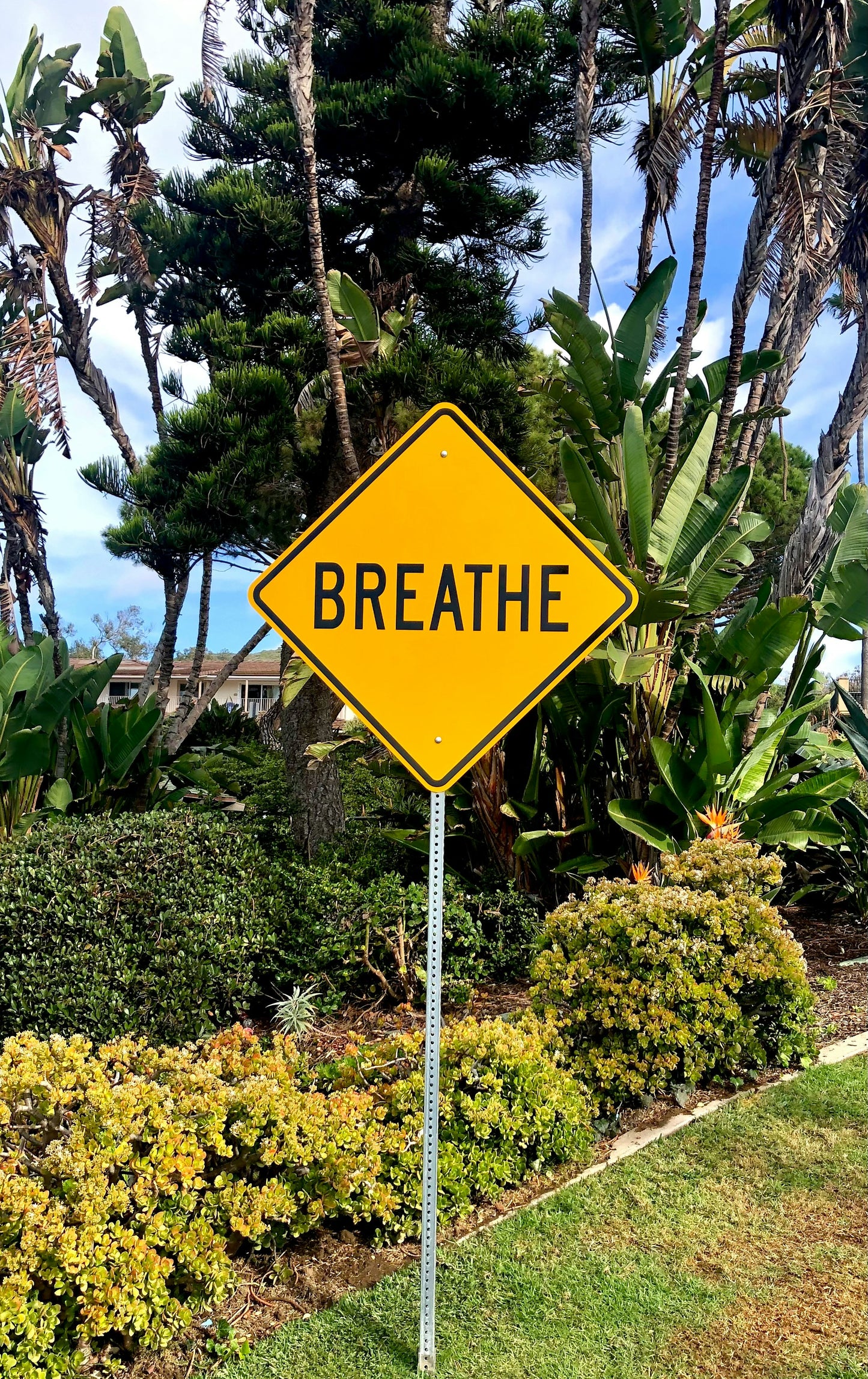 Breathwork