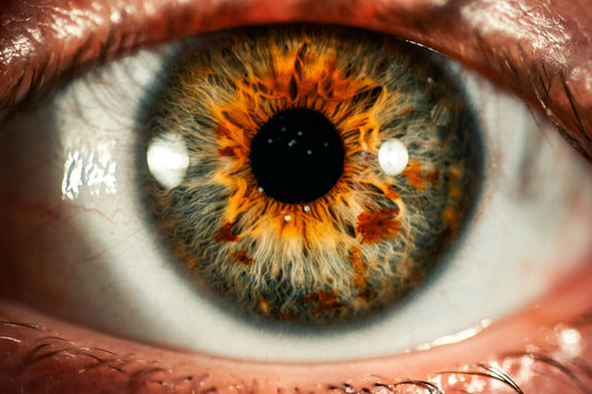 Iridology Consultation & Tailored Nutrition & Wellness Plan