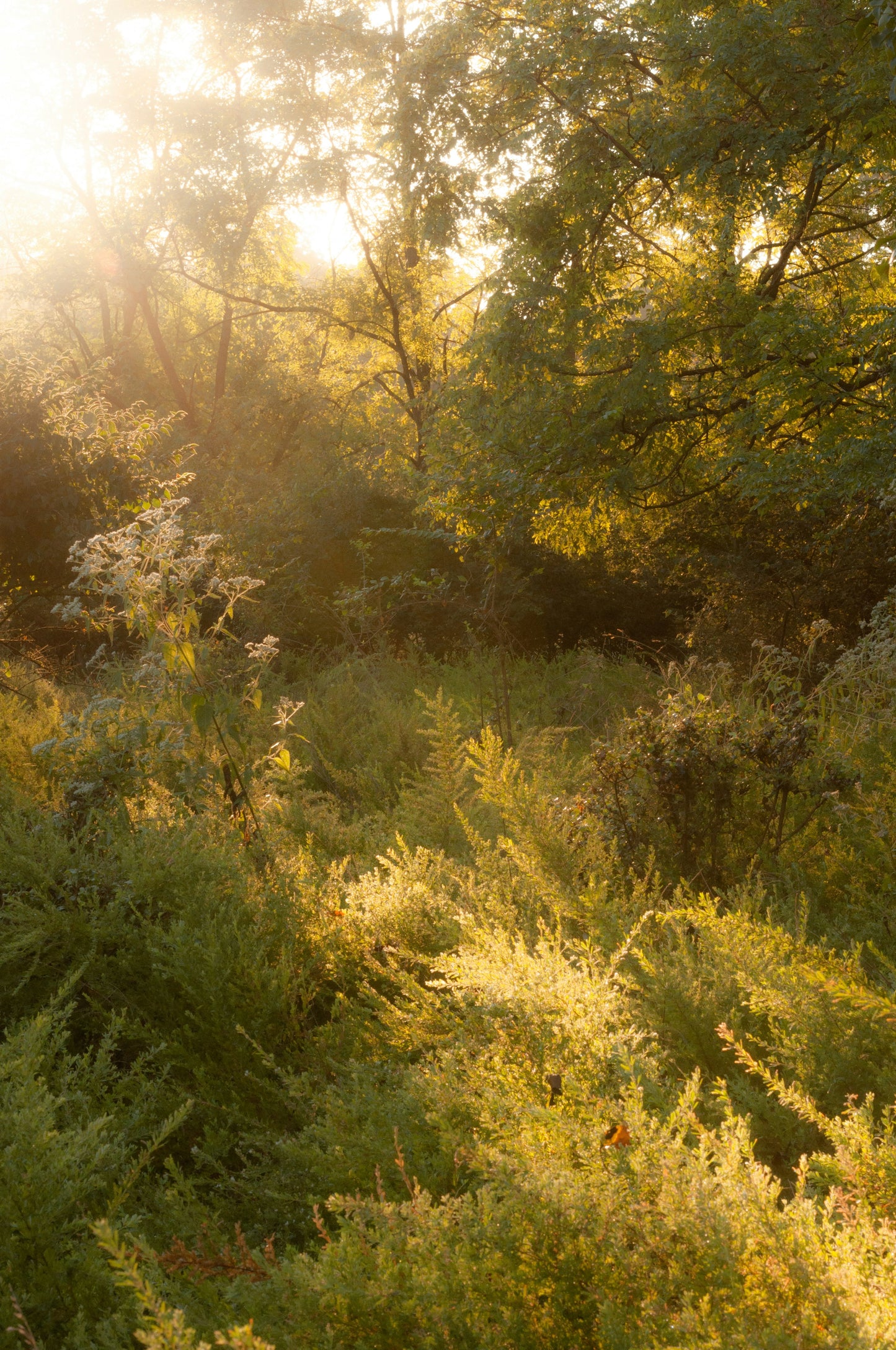 Breathwork