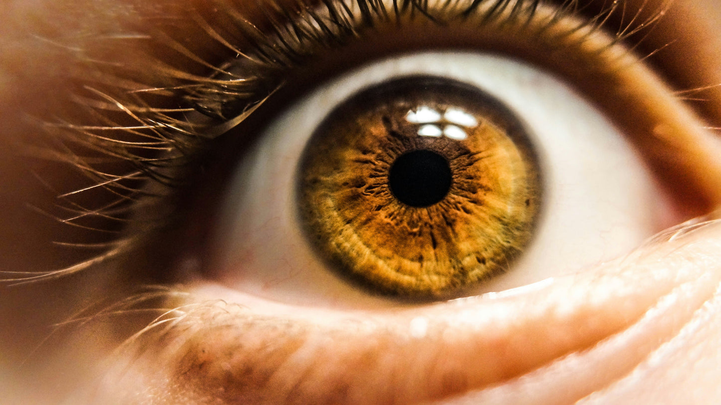 Iridology Consultation & Tailored Nutrition & Wellness Plan